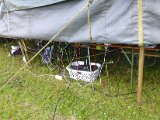 2014 Fieldday_112.JPG